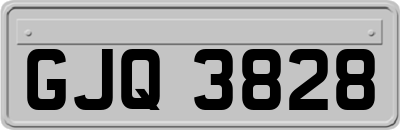 GJQ3828