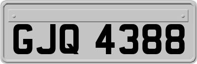 GJQ4388