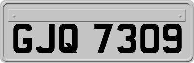 GJQ7309
