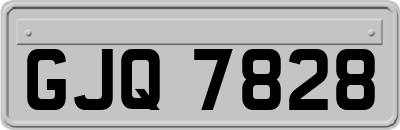 GJQ7828