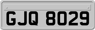 GJQ8029