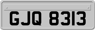 GJQ8313