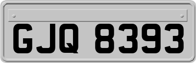 GJQ8393