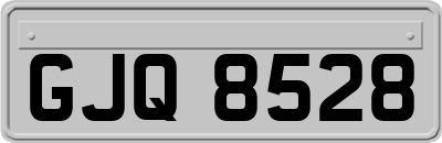GJQ8528