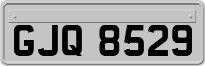GJQ8529