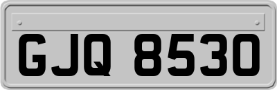 GJQ8530