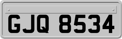 GJQ8534