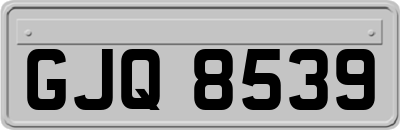 GJQ8539