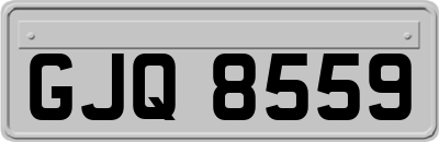 GJQ8559