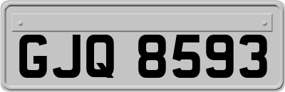 GJQ8593