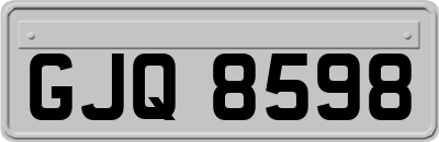 GJQ8598