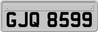 GJQ8599