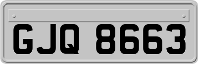 GJQ8663