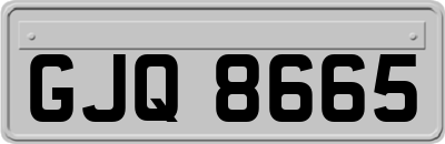 GJQ8665