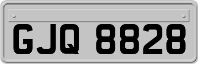 GJQ8828