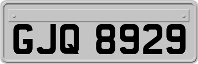 GJQ8929