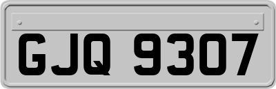 GJQ9307