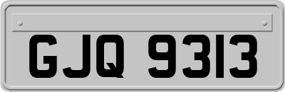 GJQ9313