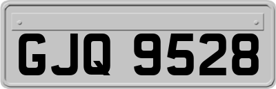 GJQ9528