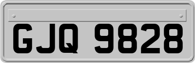 GJQ9828