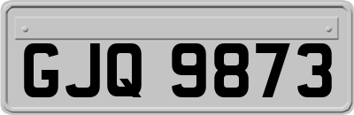 GJQ9873