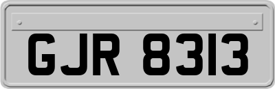 GJR8313