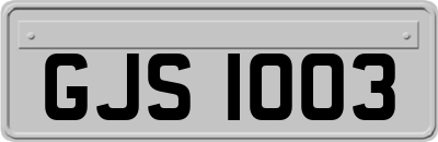 GJS1003
