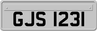 GJS1231