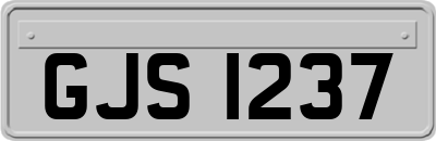 GJS1237