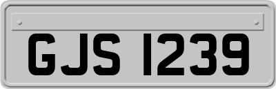 GJS1239