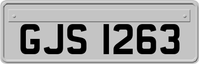 GJS1263