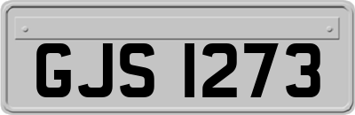 GJS1273