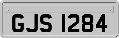 GJS1284
