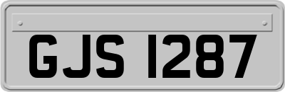 GJS1287