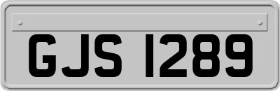 GJS1289