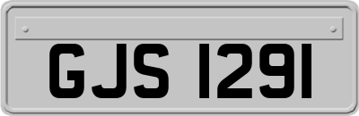 GJS1291