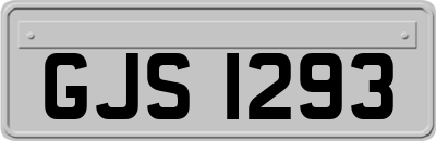 GJS1293