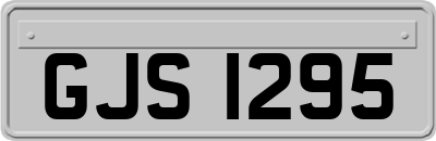 GJS1295