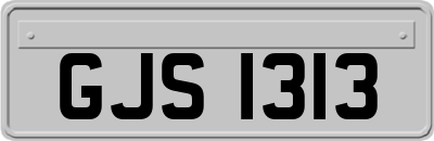 GJS1313