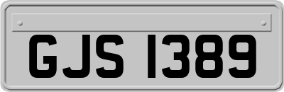 GJS1389