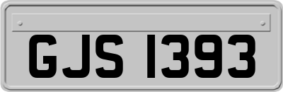 GJS1393