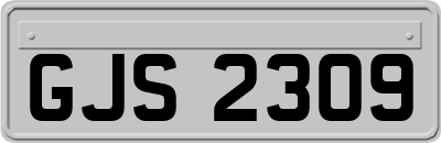 GJS2309