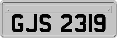 GJS2319