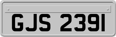 GJS2391