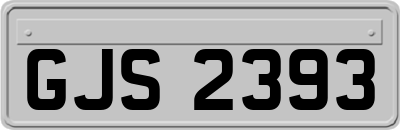 GJS2393
