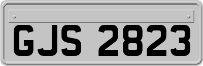 GJS2823