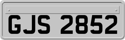 GJS2852
