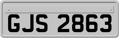 GJS2863