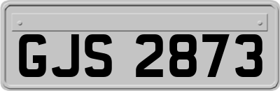GJS2873