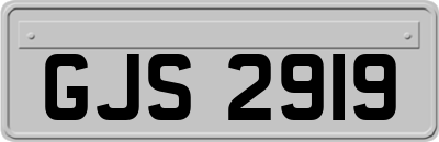 GJS2919